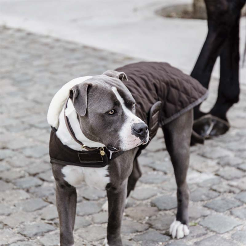 Derka dla psa Original Brązowa