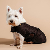 Derka dla psa Original Brązowa Derka dla psa Original Brązowa