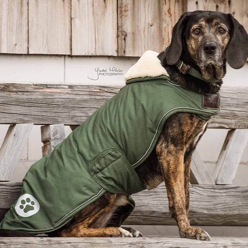 Derka dla psa Waterproof 300g Oliwkowa zieleń