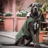 Derka dla psa Waterproof 300g Oliwkowa zieleń Derka dla psa Waterproof 300g Oliwkowa zieleń