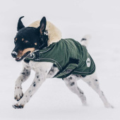 Derka dla psa Waterproof 300g Oliwkowa zieleń Derka dla psa Waterproof 300g Oliwkowa zieleń