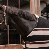 Derka polarowa Heavy Stripes Brązowa Derka polarowa Heavy Stripes Brązowa