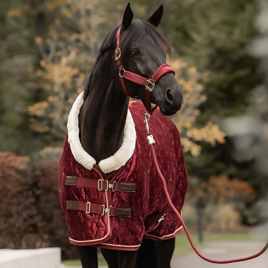 Derka konkursowa Velvet Bordowa