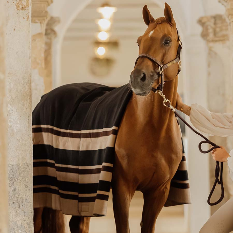 Derka polarowa Heavy Square Stripes Brązowa210x200