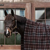 Derka polarowa Heavy Square Check Printing Brąz/Beż210x200 Derka polarowa Heavy Square Check Printing Brąz/Beż210x200