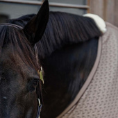 Derka osuszająca 4D Spacer Beżowa