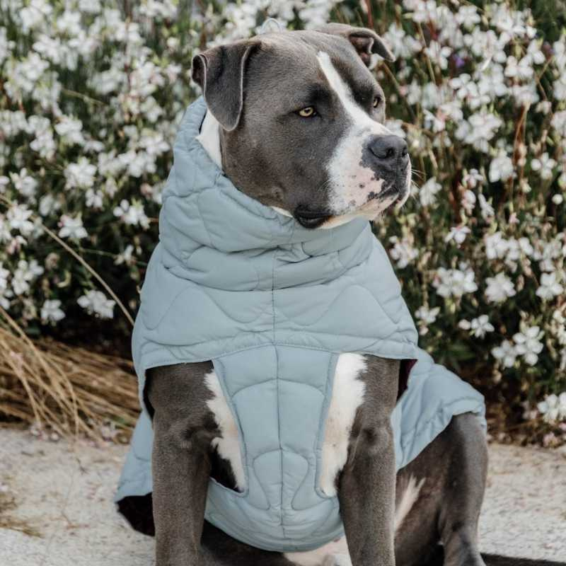 Derka dla psa Winter Pina 160g Niebieska