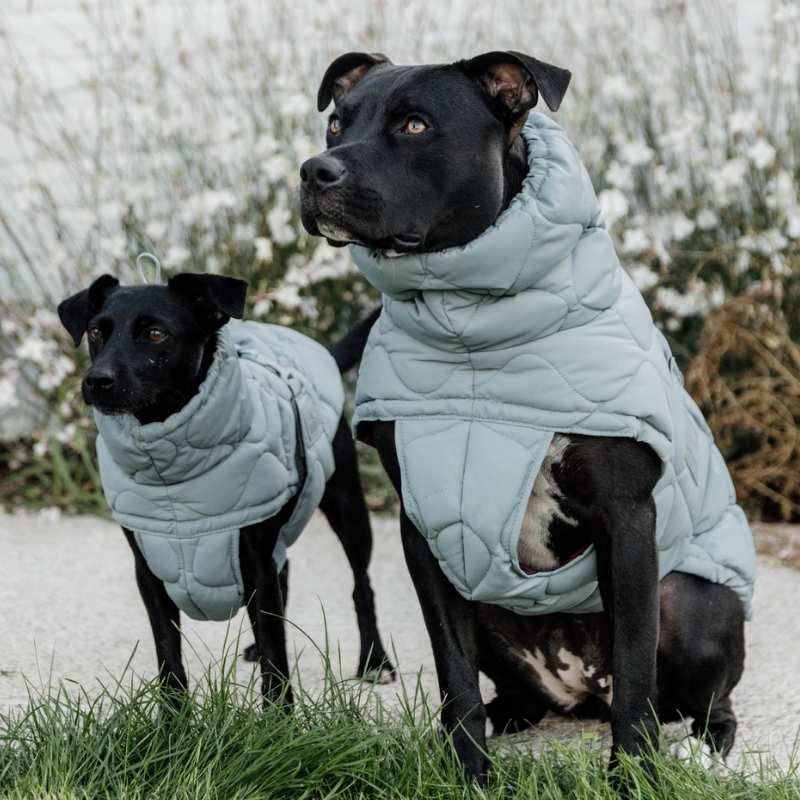 Derka dla psa Winter Pina 160g Niebieska