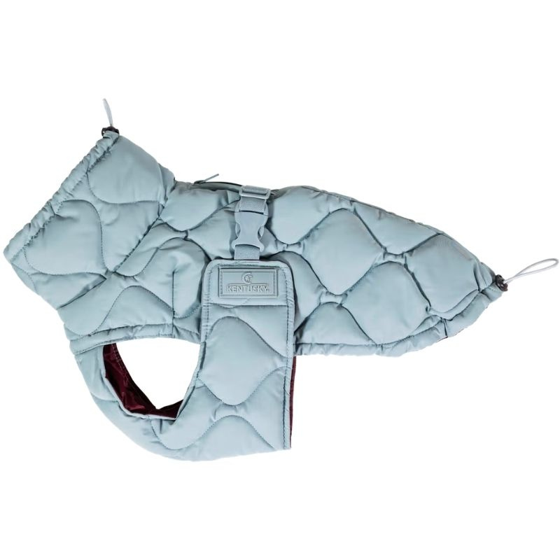 Derka dla psa Winter Pina 160g Niebieska