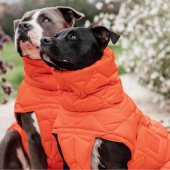 Derka dla psa Winter Pina 160g Pomarańczowa Derka dla psa Winter Pina 160g Pomarańczowa