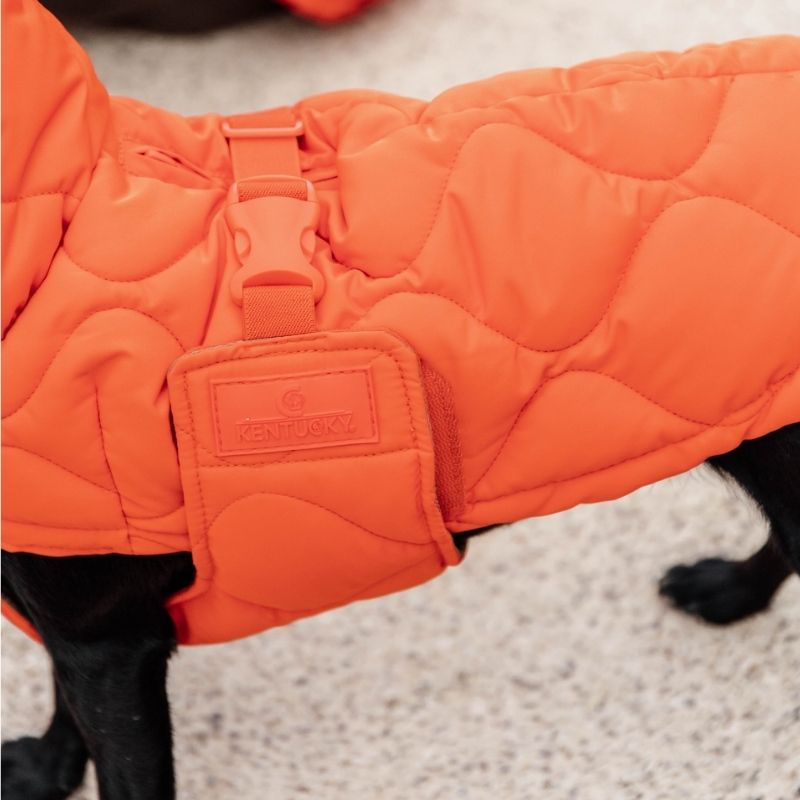 Derka dla psa Winter Pina 160g Pomarańczowa