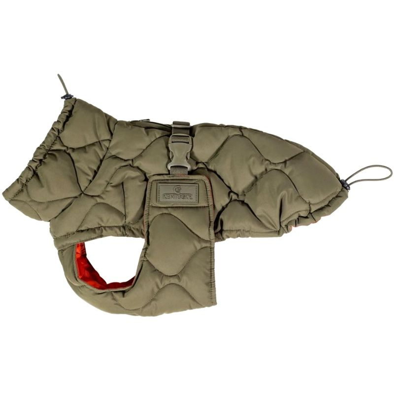 Derka dla psa Winter Pina 160g Zielona