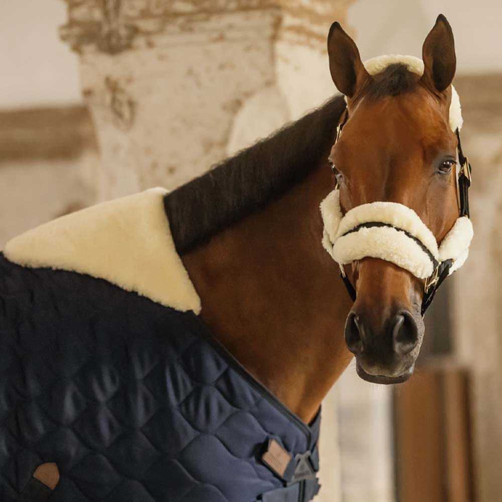 Derka stajenna Comfort 200g Granatowa