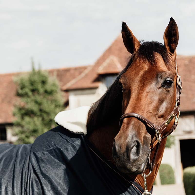 Ochraniacz na kląb Horse BIB Natural