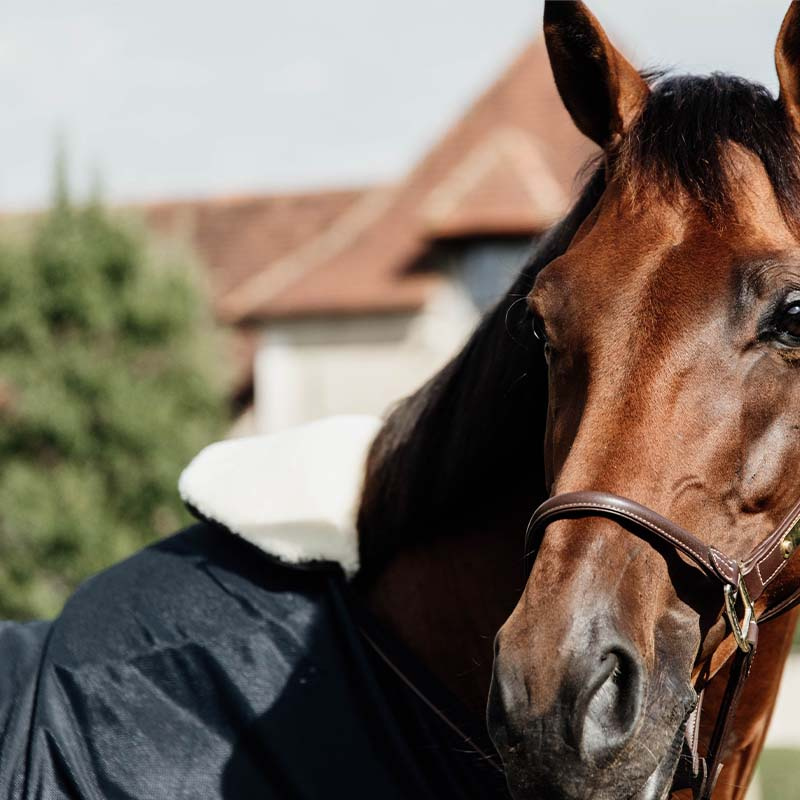 Ochraniacz na kląb Horse BIB Natural