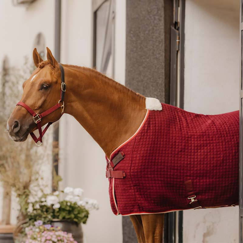 Derka osuszająca PROTherm Bordowa