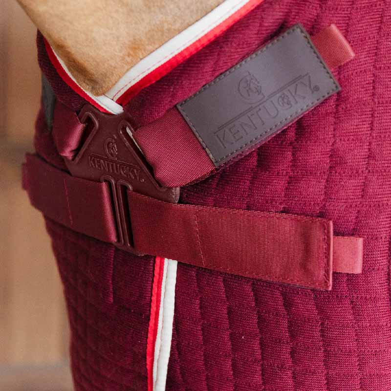 Derka osuszająca PROTherm Bordowa