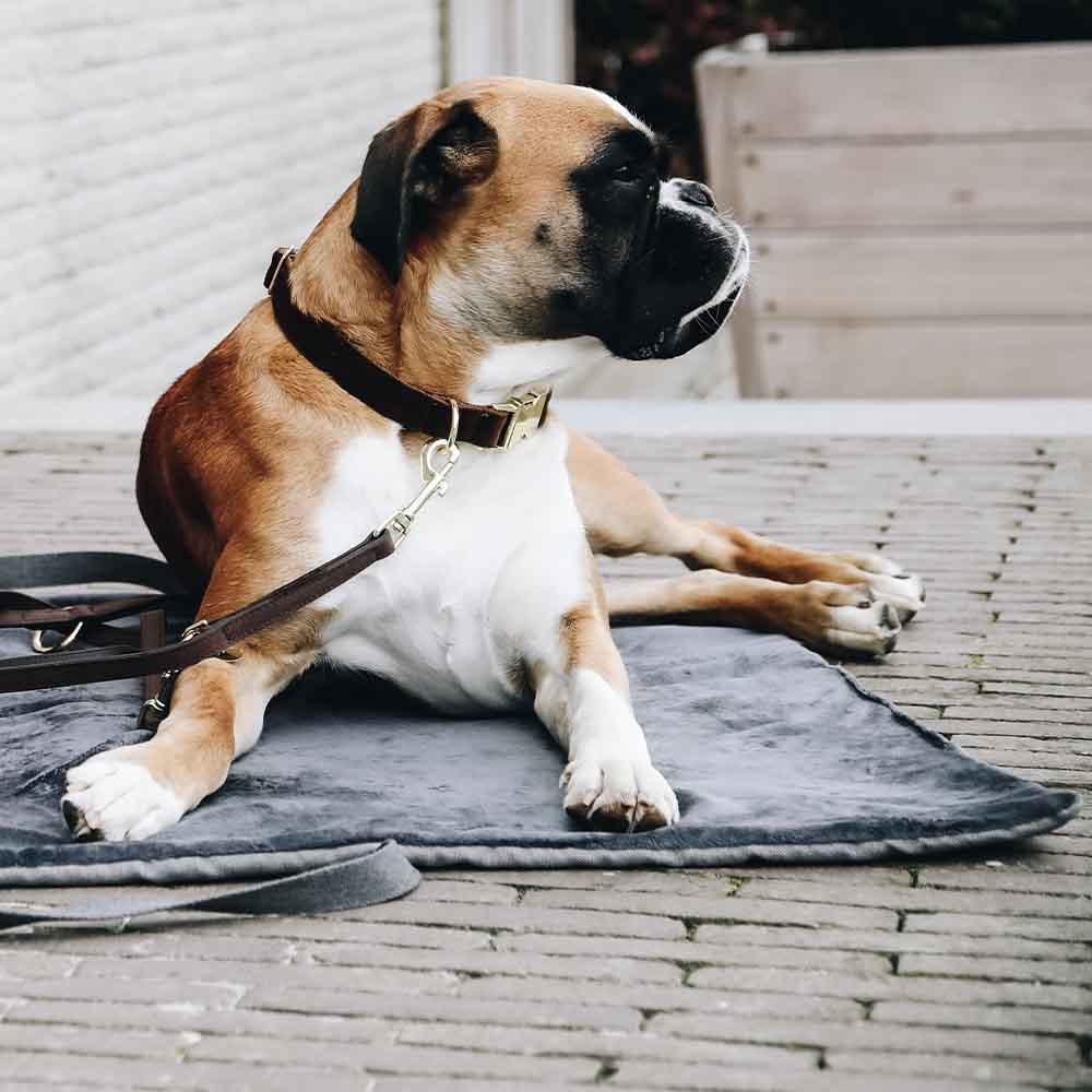 Legowisko dla psaTravel In Style Szare