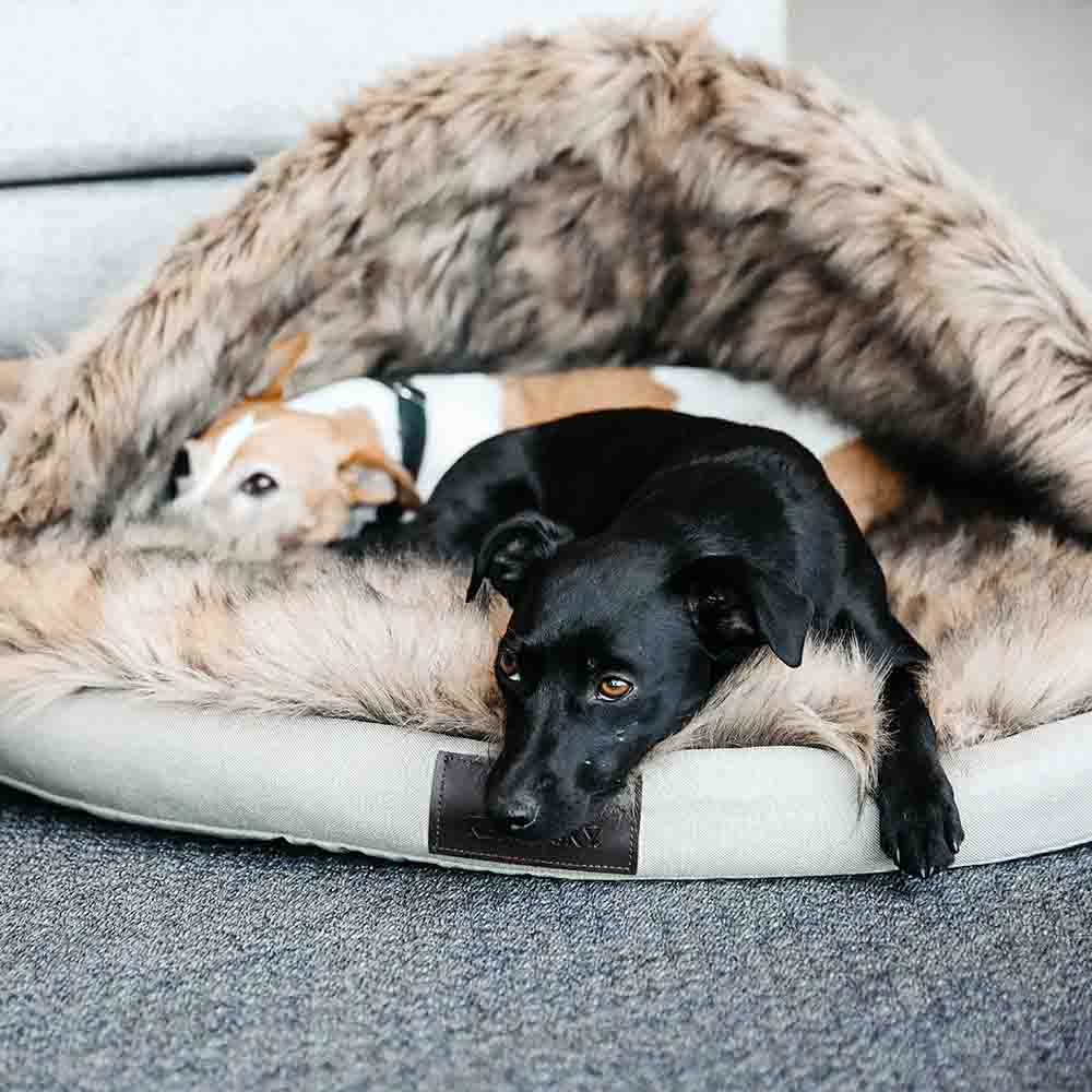 Legowisko dla psa Igloo Beżowe