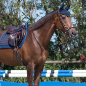 Nauszniki Florence Granatowe Nauszniki Florence Granatowe