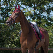 Nauszniki Florence Bordowe Nauszniki Florence Bordowe