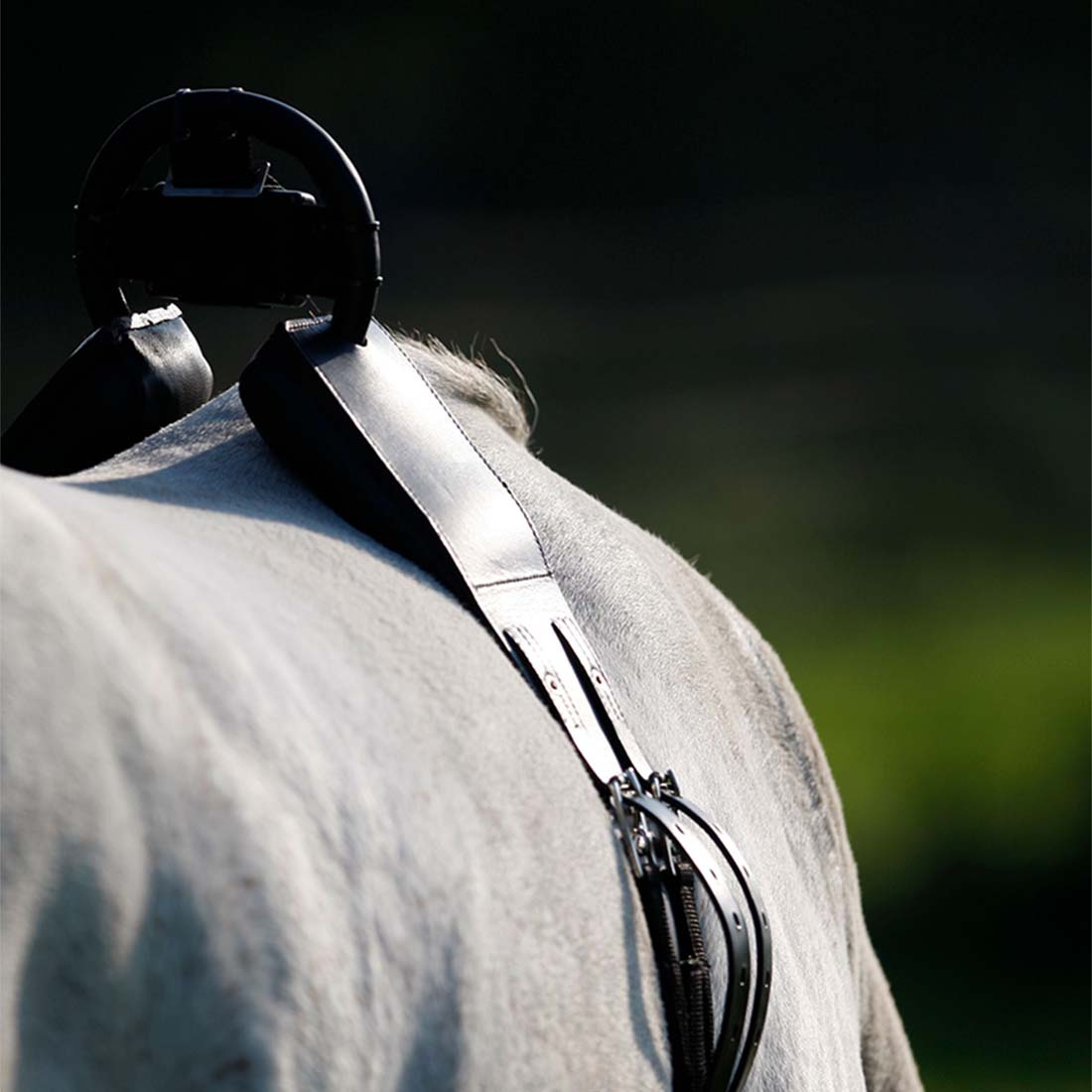 Górna część do pasa Anti-Roll Czarna