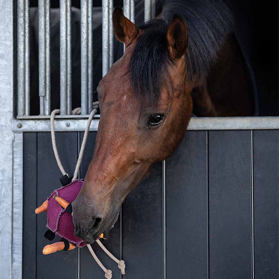 Zabawa dla konia Piłka Loop  z zamszu Różowa