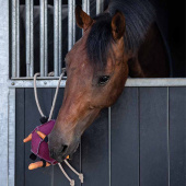 Zabawa dla konia Piłka Loop z zamszu Różowa Zabawa dla konia Piłka Loop z zamszu Różowa