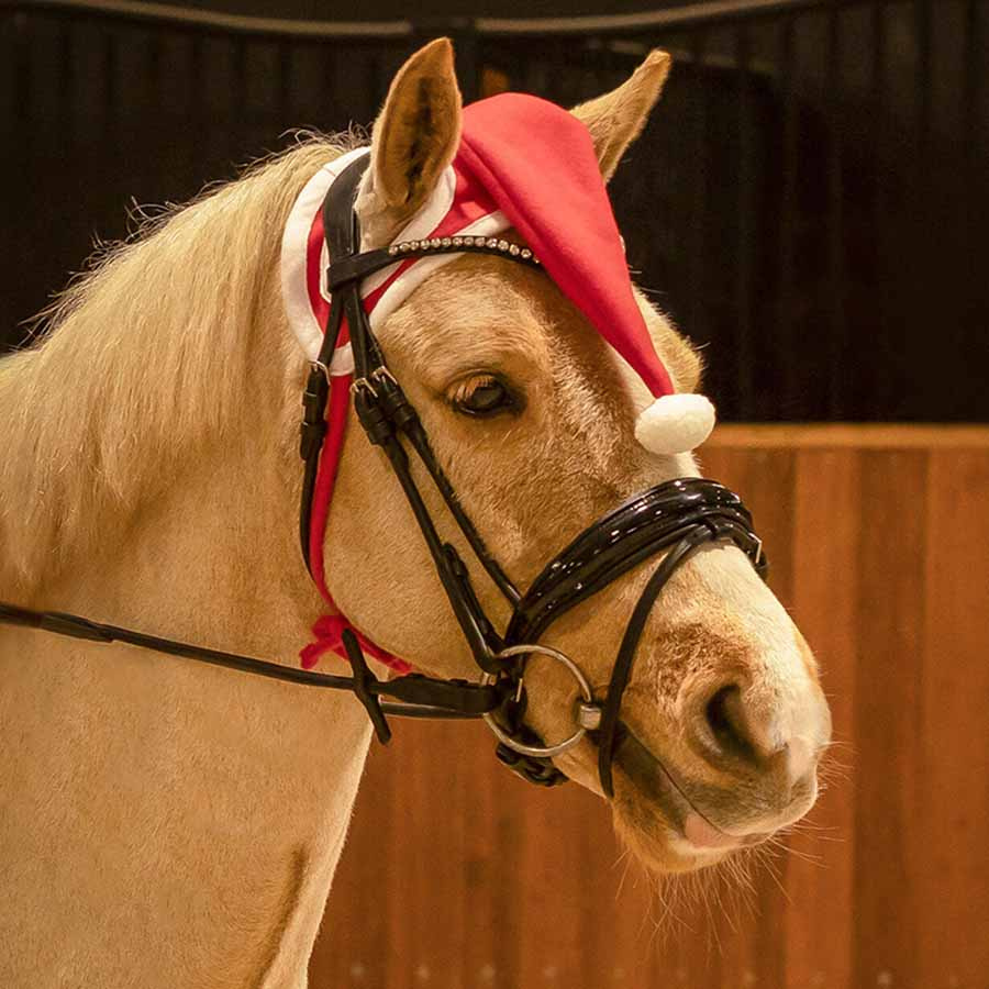 Nauszniki dla konia Christmas Hat Czerwony/Biały