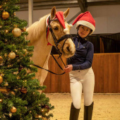 Nauszniki dla konia Christmas Hat Czerwony/Biały Nauszniki dla konia Christmas Hat Czerwony/Biały