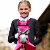 Koń na kiju Siwy Koń na kiju Siwy