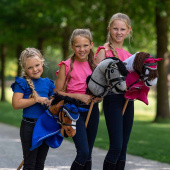 Koń na kiju Siwy Koń na kiju Siwy