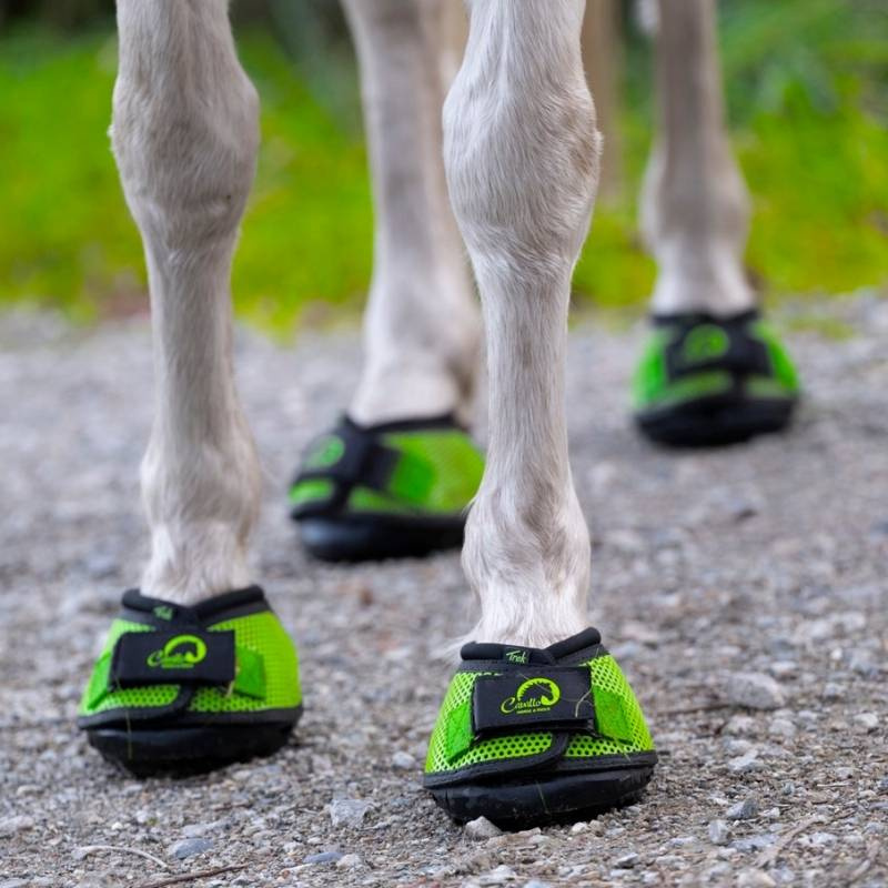 Buty dla konia Trek Regular 2-pack Zielone
