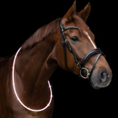 Odblask Neck Ring LED Light Biały Odblask Neck Ring LED Light Biały