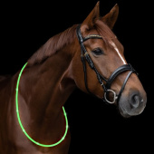 Odblask Neck Ring LED Light Zielony Odblask Neck Ring LED Light Zielony