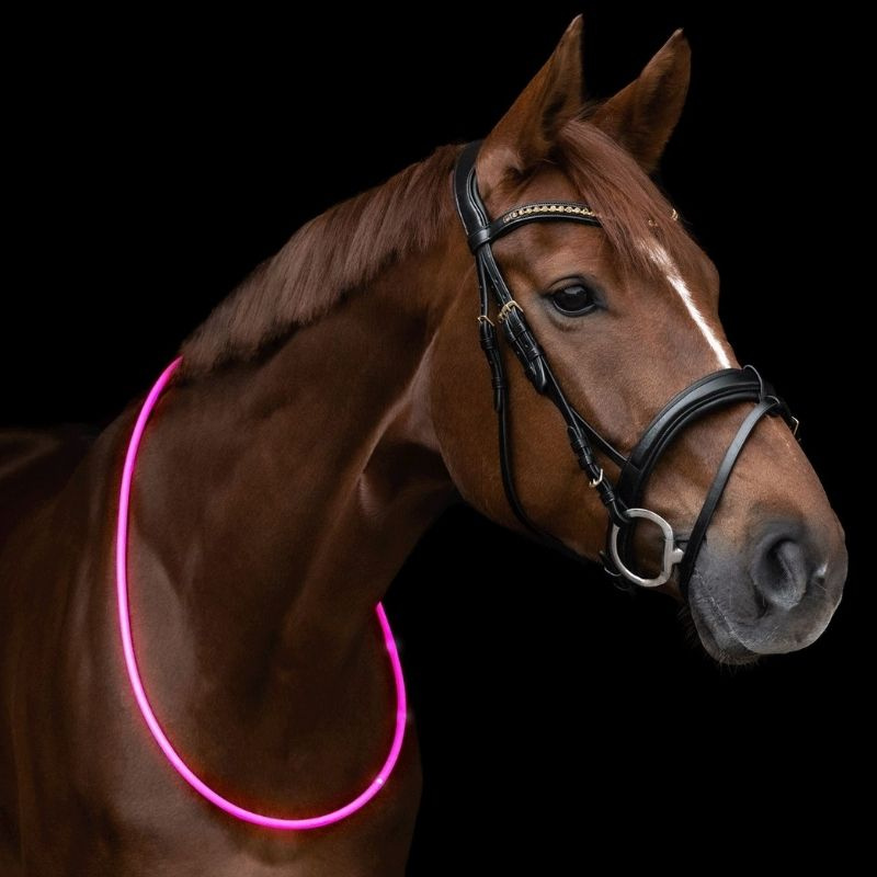 Odblask Neck Ring LED Light Różowy