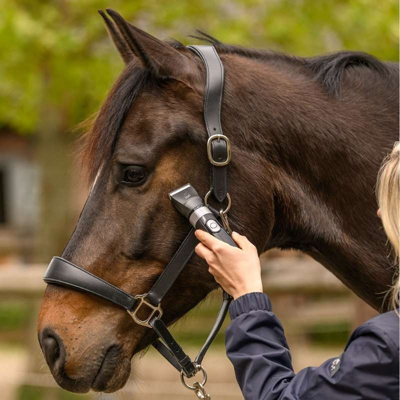 Bezprzewodowa maszynka do strzyżenia EquiClip