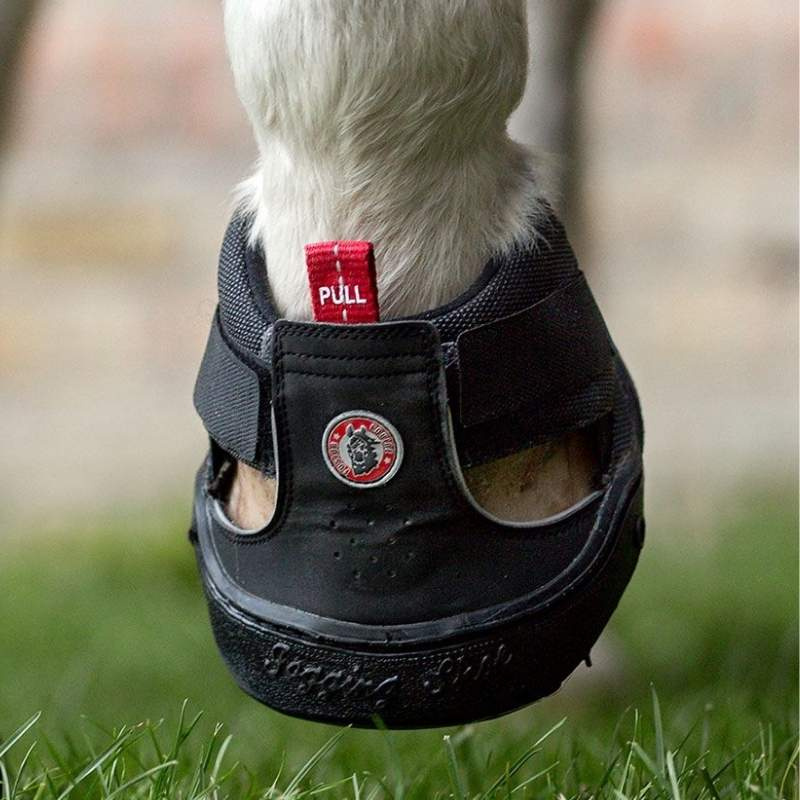 But dla konia Trekking Shoe Slim Czarne