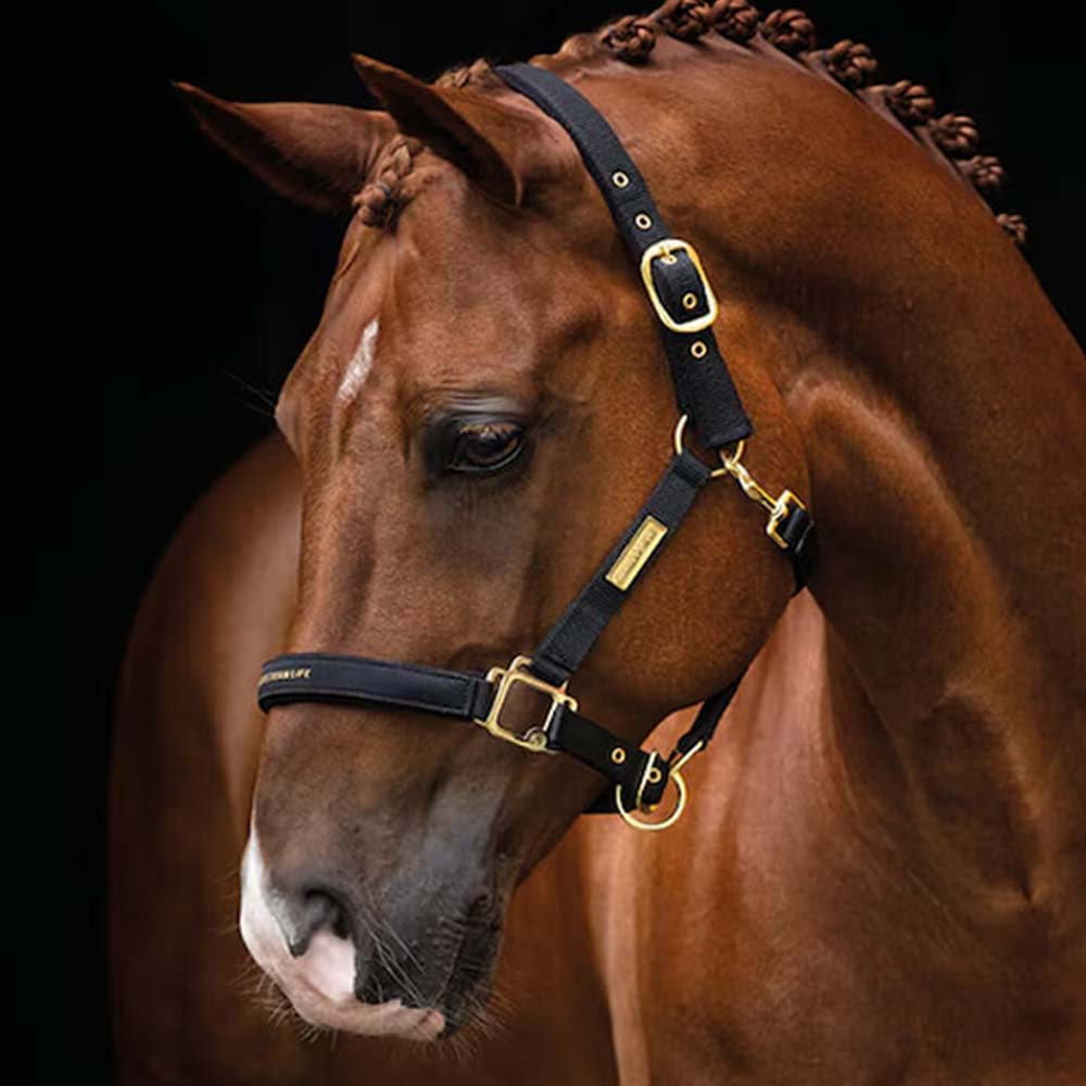 Kantar HS Equestrian Life Czarny