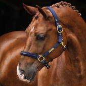 Kantar HS Equestrian Life Granatowy Kantar HS Equestrian Life Granatowy