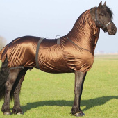 Derka egzemowa Big Neck Brązowa Derka egzemowa Big Neck Brązowa