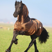 Derka egzemowa Big Neck Brązowa Derka egzemowa Big Neck Brązowa