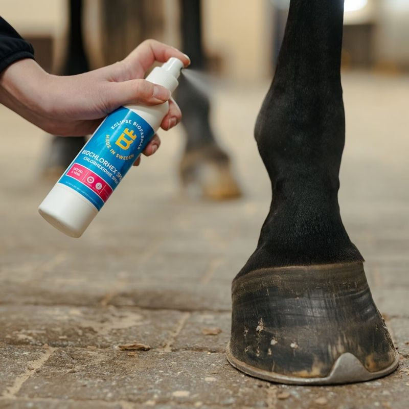 Spray na rany BioChlorHex 200 ml
