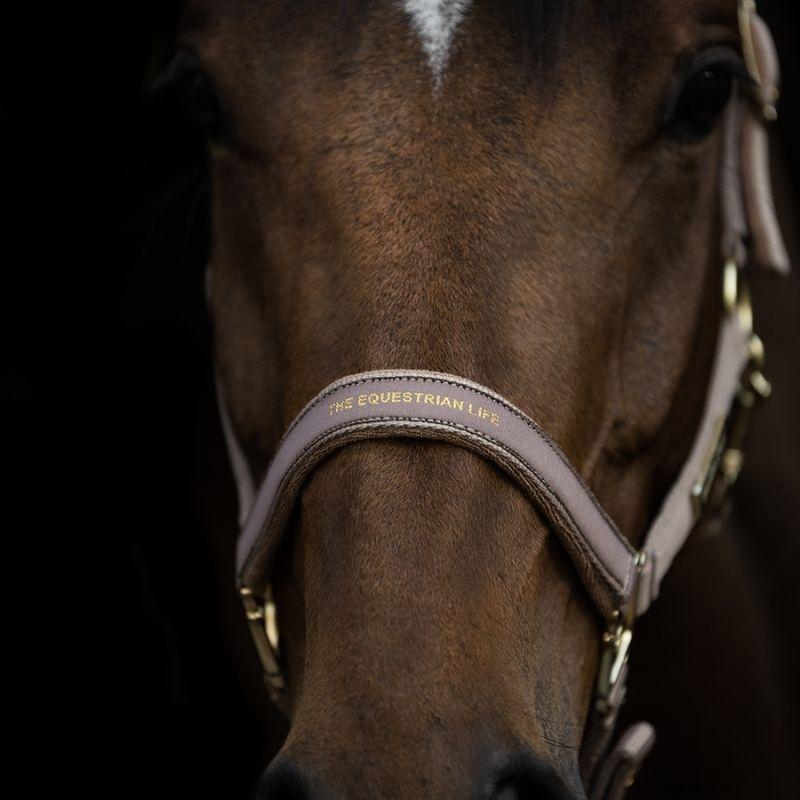 Kantar HS Equestrian Life Beżowy