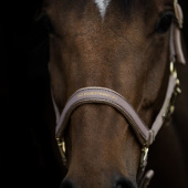 Kantar HS Equestrian Life Beżowy Kantar HS Equestrian Life Beżowy