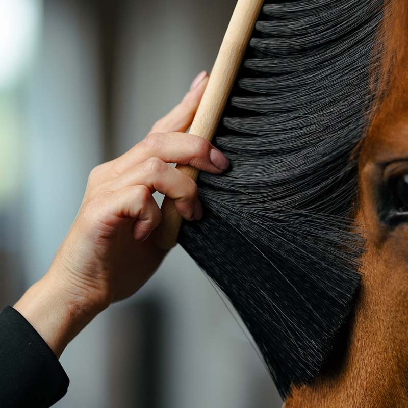 Szczotka bananowa PP X-Long Czarna