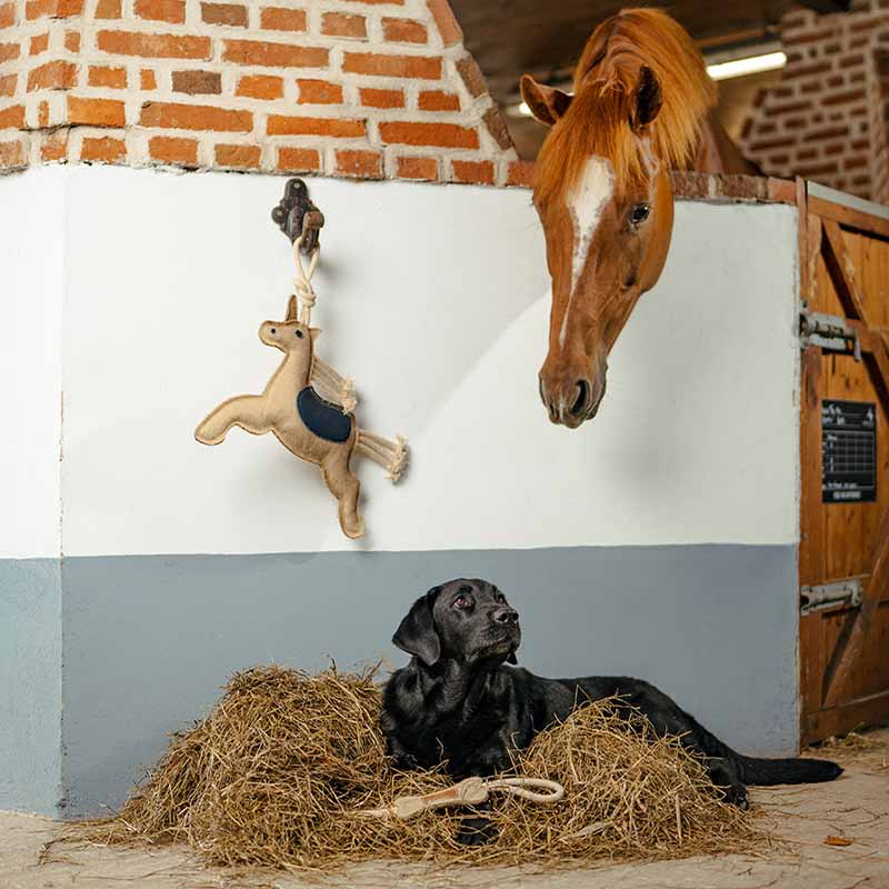 Zabawka dla koni HS Jednorożec jutowy