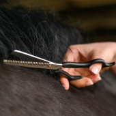 Nożyczki degażówki Thinning Shears Czarne Nożyczki degażówki Thinning Shears Czarne