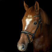 Ogłowie HS Clincher Aachen Czarne Ogłowie HS Clincher Aachen Czarne