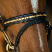 Ogłowie HS Clincher Aachen Czarne Ogłowie HS Clincher Aachen Czarne